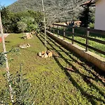Villino Il Limone بيت للعطل *