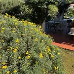 Villino Il Limone * Nisporto