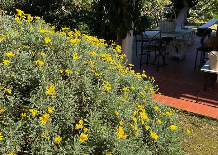 Villino Il Limone * Nisporto