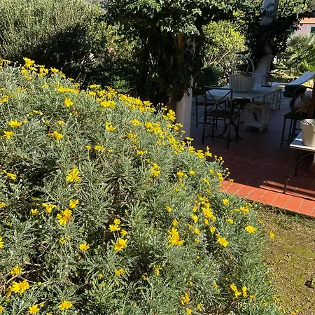 Villino Il Limone * Nisporto